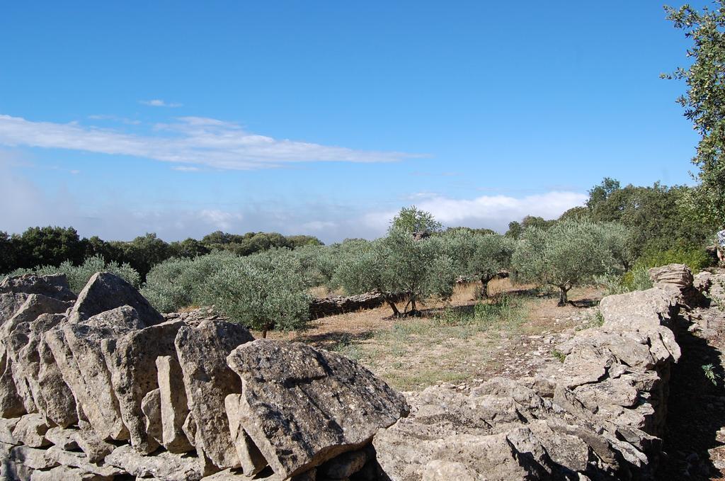 Cypres Du Paradis A Gordes Dış mekan fotoğraf